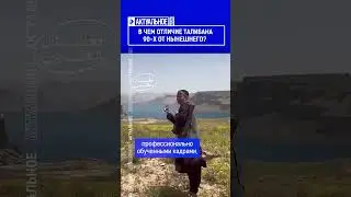 В чем отличие Талибана 90-х от нынешнего? Выпуск по ссылке в шапке профиля