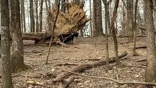 Tennesse Boar Hunt: Teen Shoots 750 lb boar