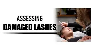 Assessing Damaged Lashes | Textured Eyelash Extension Styling Tutorial