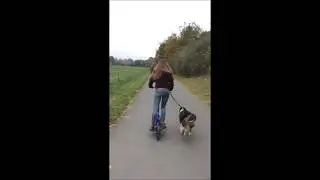 Brizon Stepwing- Pedal Scooter Stepper Bike