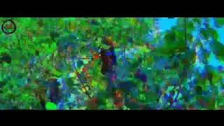Pushpa action scene || Pushpa thriller || Action Race Comedy 