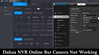 Dahua NVR Online But Camera Not Working