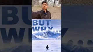 Why? penguin 🐧 get libe vlog #shorts #viral #vlog #trending