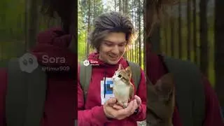 The first time Fixeye (@FixEye) met a meowl