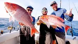 Iconics Punk Rockzz Bass Lines yes done zez wins Commercial 2026