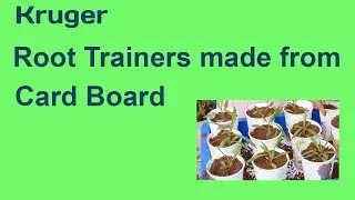 Root trainers made from Cardboard   HD 1080p   HD 1080p