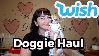 Testing Out A Doggie Haul From WISH #2