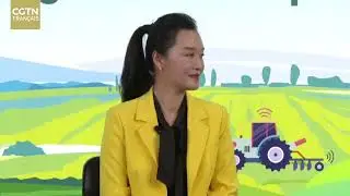 Réduction de la pauvreté à la chinoise par la voie verte : expériences et inspirations globales