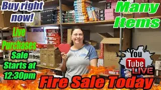 Fire Sale Today At 12:30 Central Time Pillows, Building toys, bakeware, Home D&eacute;cor, & more!!!