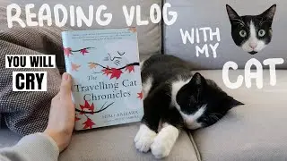 READING VLOG with my Cat | Literature: The Traveling Cat Chronicles | Heartwarming Book | CNDVLOG13