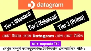 ডাটাগ্রাম নোড কোন টায়ার থেকে কেনা উচিত | NFT Capsule কি | Datagram Technical Analysis | Part-2