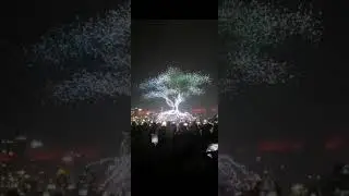 The synchronized flying of 11,878 drones in China has entered the Guinness Book of World Records.