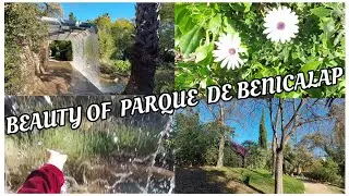 BEAUTY OF PARQUE DE BENICALAP | VALENCIA | NATURE BELLEZA NATURALEZA EN EL PARQUE DE BENICALAP