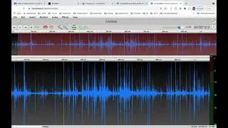 How to record sounds using Twisted Wave online
