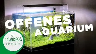 Offenes Aquarium - sicher oder unsicher? AquaAffin #3