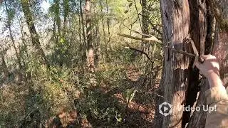 East Tennessee rabbit hunt 2024
