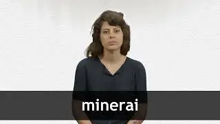How to pronounce MINERAI in French