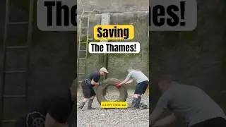 Saving the Thames with Thames21