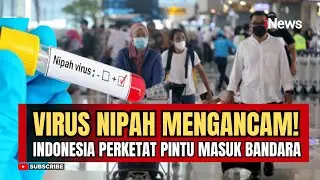 WASPADA! Virus Nipah Merebak, Bandara Soetta Perketat Pengawasan Penumpang Internasional