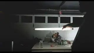 Tesla coil Glass Jar Light up bulb at 4 feet 