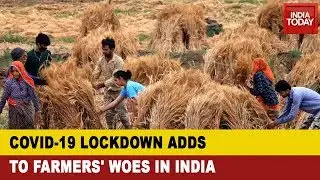 Coronavirus Lockdown Aggravates Farmer's Woes In India; Maharashtra, U.P., Karnataka Badly Hit