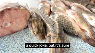Top 7 Jokes to Laugh at for Stress Relief and Joy