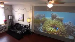 WHAT TRUE PROJECTOR SCREEN GAIN LOOK LIKE!
