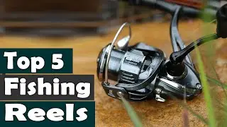 Top 5 Best Fishing Reels in 2026 | Best AliExpress Deals for Saltwater & Freshwater