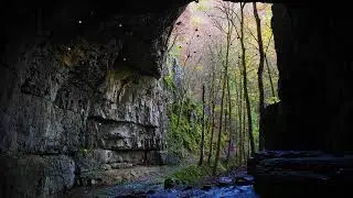 Ozark Cave Ambience | Relaxing Mysterious Music | Bats, Crickets, Underground River | Forest Sounds