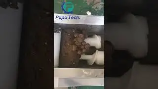 Papa CE certificated mini Protein Date Ball Rolling Machine