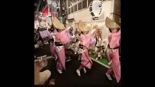 #AwaOdori #festival #SanchaRen #awaodori #awadance #dance #festival