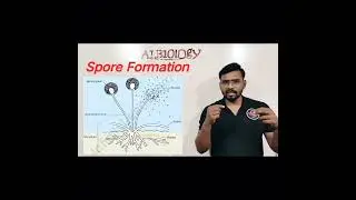 Spore formation | Asexual reproduction | viral short  | Avinash sir