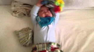Baby Lamaze Toy