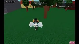 Wood Brodax Location Guide | Find The Brodaxes