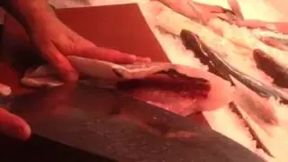 Bertorella un pescado desconocido Del cant&aacute;brico