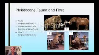 Pleistocene Epoch