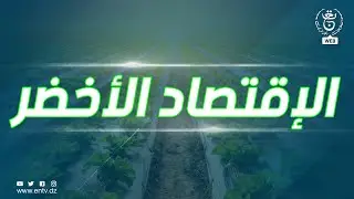 الإقتصاد الأخضر - 24-08-2023