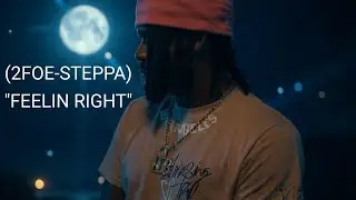 (2FOE-STEPPA) 
