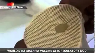 World's first Malaria vaccine gets regulatory nod