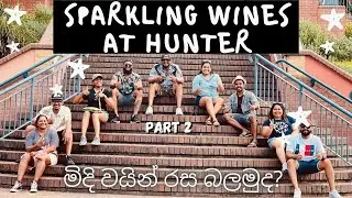 Things to do in HUNTER VALLEY | Wine Tasting | හන්ටර් නිම්නයේ මිදි වයින් රස | Part2 | Cellar Door