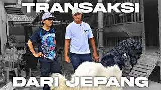 DARI DI USIR HINGGA PRODUK LARIS DI SANTOS FARM BANYUWANGI