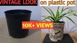 PAINT PLASTIC POT VINTAGE/CHALK PAINT ON POT/How to make chalk paint/प्लास्टिक गमले कैसे रंग करें