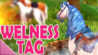 Wellness f&uuml;r Starshine 🧽🐴 Star Stable Online