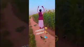 Mashallah mesh&egrave;w werena &egrave;dakhwun li &egrave;nshallah 🤲