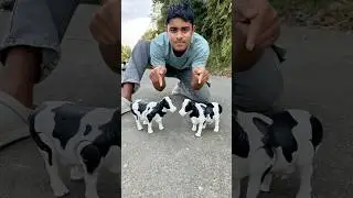 2 Ta Remote Control Cow 🐄 unboxing & Testing🔥