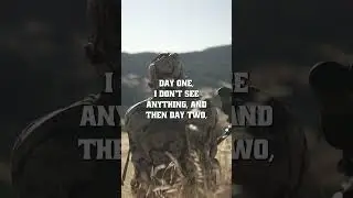 Patience Pays Off: The Key to Successful Spring Bear Hunting