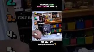 Best Dog Core Moments😂 #shorts #dog #memes #meme