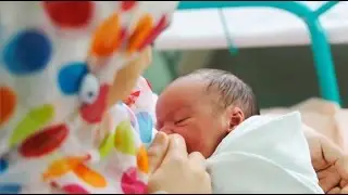 How to Donate Milk to the Ontario Human Milk Bank