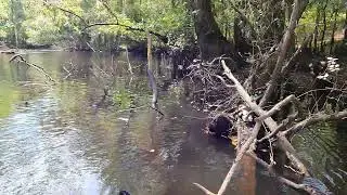 #kayak #bassfishing #river #south carolina 