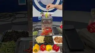 Compact Meat & Vegetable Slicer 🥩🥕Perfect for Home and Commercial Use!#meatslicer #ASMR